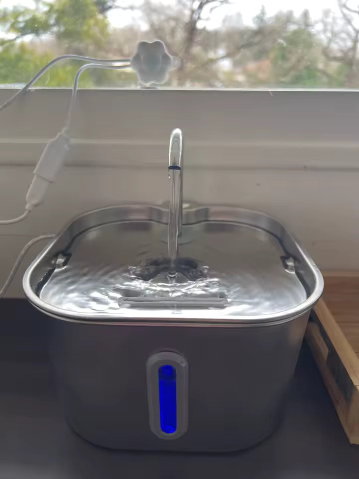 Ana review dispensador