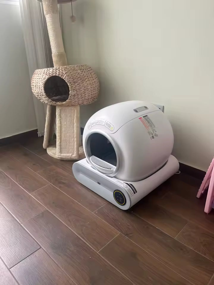 Sofía review arenero