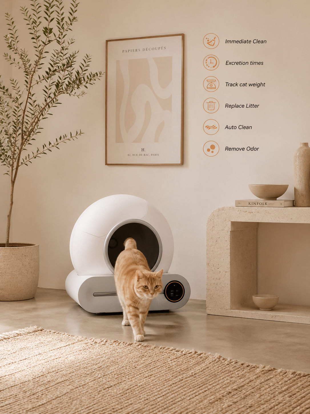Self-Cleaning Smart Litter CatBox 1